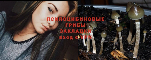 амф Алзамай