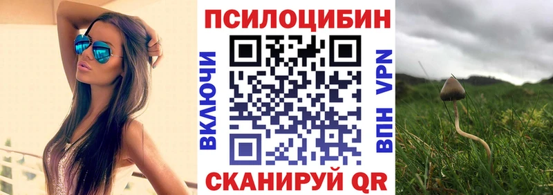 Псилоцибиновые грибы Magic Shrooms Монино